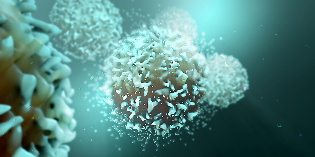 IMPETUX at the EMBO workshop: Cell polarity and membrane dynamics