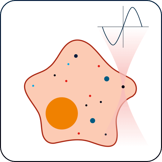 Cell elasticity and cell viscosity determination with active microrheology