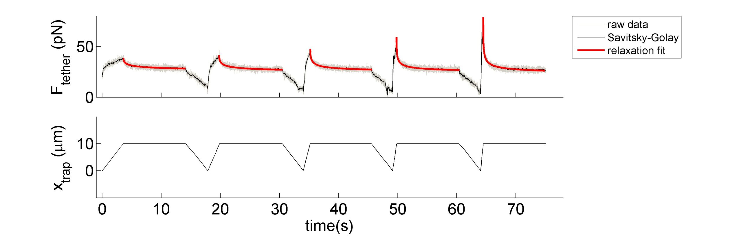 Cell membrane force application on a neuron axon tether pulling experiment