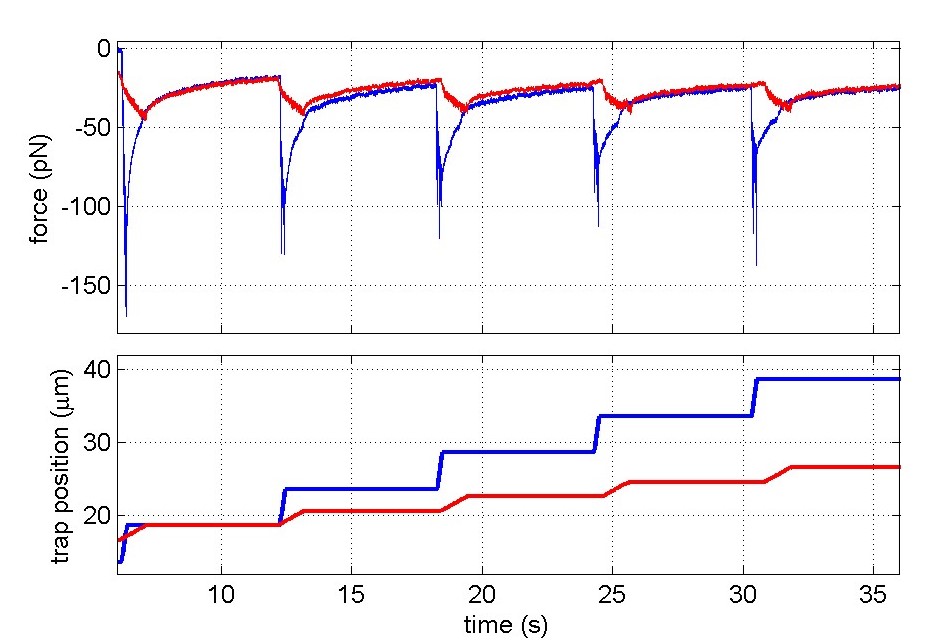 cell membrane force measurements in a HELA cancer cell tether pulling experiment. cell membrane force measurements in a HELA cancer cell tether pulling experiment.