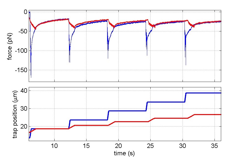 cell membrane force measurements in a HELA cancer cell tether pulling experiment.