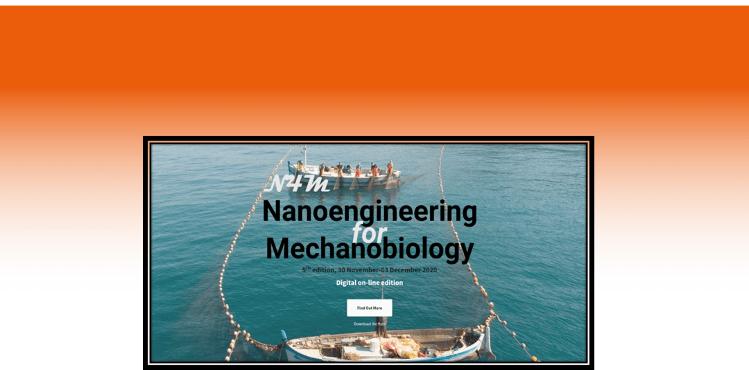 CONFERENCES: Nanoengineering for Mechanobiology