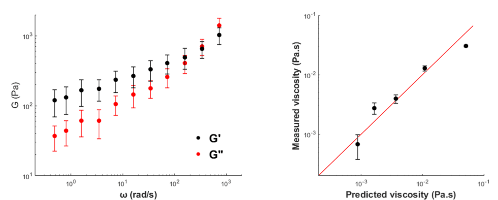 active microrheology inside gels and water like medium