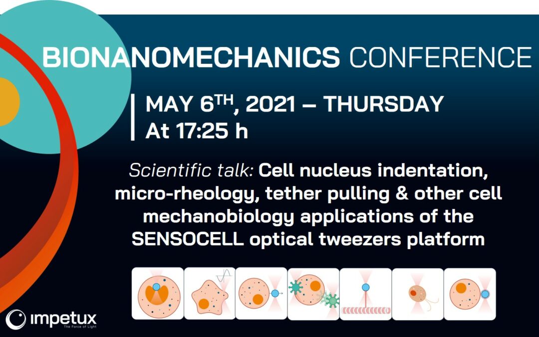 IMPETUX AT BIONANOMECHANICS CONFERENCE