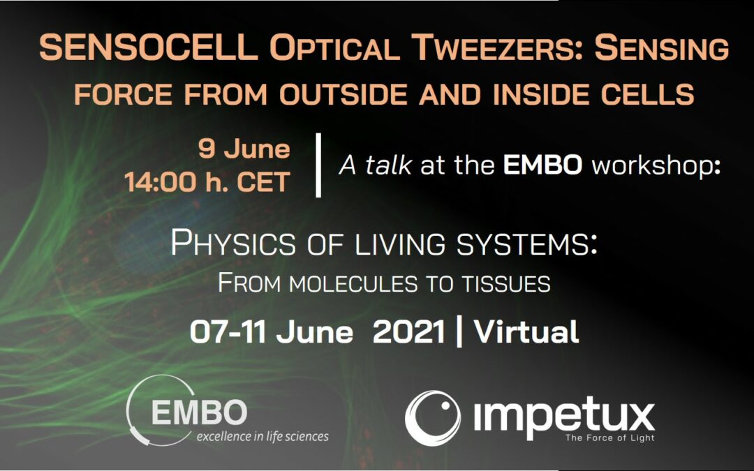 Sensing force from outside and inside cells | EMBO Workshop
