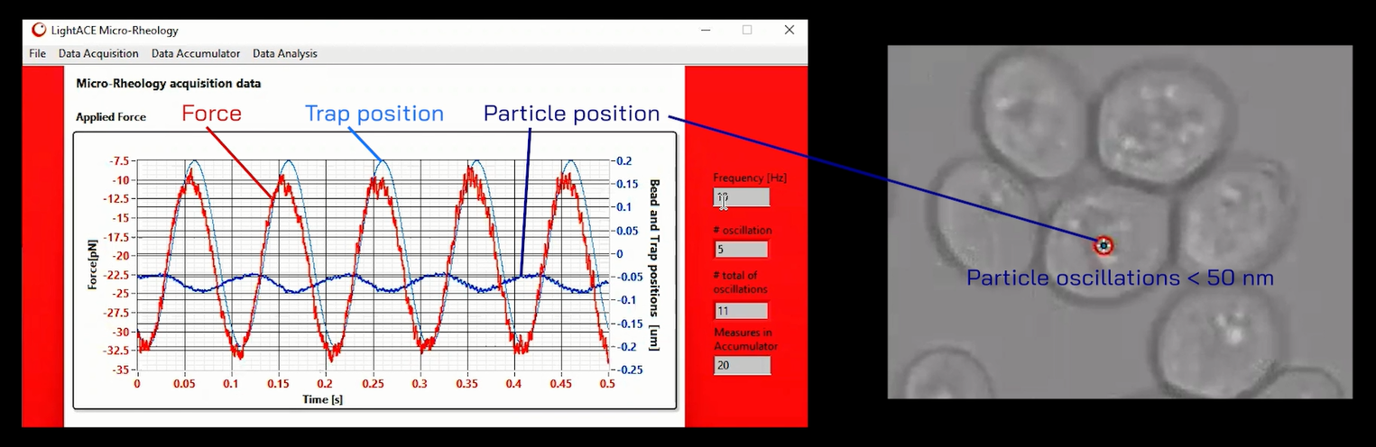 intracellular micro-rheology intracellular micro-rheology