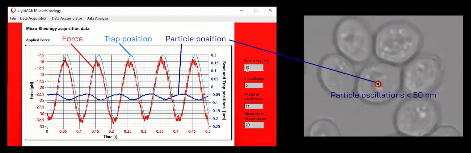 intracellular micro-rheology