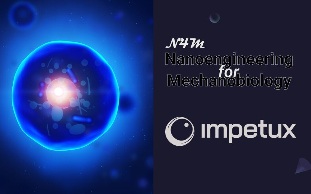 Impetux at Nanoengineering for Mechanobiology N4M 2022