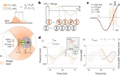 Innovative Optical Tweezers TimSOM Microrheology Discovers Novel Disease Indicators in Aging Animals