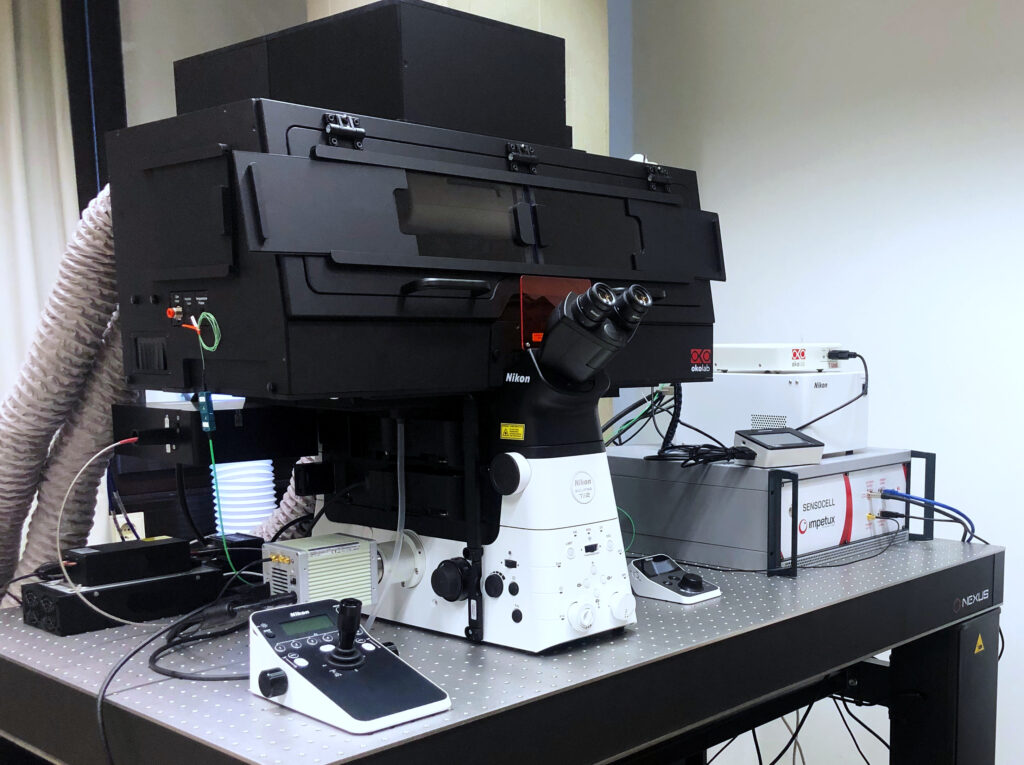 SENSOCELL optical tweezers with closed incubation chamber for live cells experiments