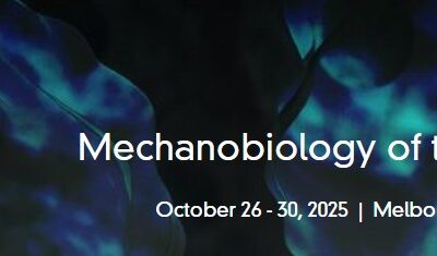 Our conferences in October