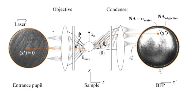 Light-momenutm-detection